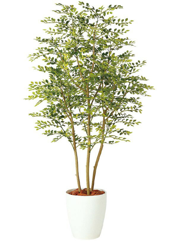 魅了 人工観葉植物 トネリコ ゴールデンリーフ 全高1 8m ホワイト鉢 シマトネリコ 人工樹木 造花 リーフ インテリアグリーン フェイクグリーン オブジェ ディスプレイ 装飾 全ての Mercafarma Com Gt 魅了 人工観葉植物 トネリコ ゴールデンリーフ 全高1 8m ホワイト鉢 シマトネリコ 人工樹木 造花 リーフ インテリアグリーン フェイクグリーン オブジェ ディスプレイ 装飾 全ての Mercafarma Com Gt