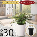 フェイクグリーン おしゃれ 人気 リアル おすすめ インテリアグリーン 人工観葉植物 造花 樹木 インテリア オブジェ アートグリーン 本物そっくり お洒落 鉢...