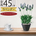 ラベンダー 造花 鉢花 ハーブ おしゃれ 人気 おすすめ リアル フェイクグリーン インテリアグリーン 観葉植物 花 緑 人工観葉植物 アーティフィシャルフラワ...