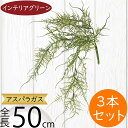 アスパラガス フェイクグリーン おしゃれ インテリアグリーン 人気 リアル 人工観葉植物 アートプランツ 造花 花材 葉物 枝物 観葉植物 アートグリーン 人工...