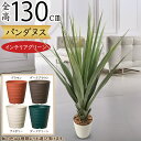 フェイクグリーン 屋外用 パンダナス アロエ 屋外対応 おしゃれ 人気 リアル インテリアグリーン 観葉植物 人工観葉植物 人工樹木 造花 アートグリーン お洒...
