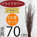 枝物 ドライフラワー おしゃれ 人気 白樺 シラカバ 天然素材 自然素材 枝もの ブランチ おすすめ インテリアグリーン 観葉植物 インテリア 家具 フラワーアレンジメント ディスプレイ オブジェ 会場装花 装飾 ナチュラル お洒落 シラカンバ バーチ 全長70cm 1束25本セット(4)
