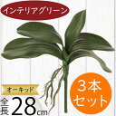 フェイクグリーン おしゃれ 人気 インテリアグリーン リアル 人工観葉植物 造花 アートプランツ アートグリーン 観葉植物 インドアグリーン インテリア オブジ...