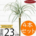チランジア ティランジア エアプランツ おしゃれ 人気 リアル フェイクグリーン インテリアグリーン 観葉植物 造花 人工観葉植物 オブジェ インテリア エアー...