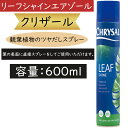 クリザール リーフシャインエアゾール 600ml 観葉植物 ツヤ出し スプレー インテリアグリーン インドアグリーン 花材 資材 業務用 人気 葉っぱ 葉物 草...
