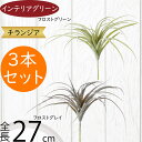 チランジア ティランジア エアプランツ おしゃれ 人気 リアル フェイクグリーン インテリアグリーン 観葉植物 造花 人工観葉植物 オブジェ インテリア エアー...