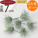 チランジア ティランジア エアプランツ おしゃれ 人気 リアル フェイクグリーン インテリアグリーン 観葉植物 造花 人工観葉植物 オブジェ インテリア エアー...