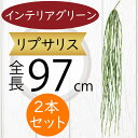 多肉植物 リプサリス フェイクグリーン 大型 おしゃれ インテリアグリーン 人気 リアル アートプランツ 造花 アートグリーン 人工観葉植物 人工樹木 観葉植物...
