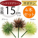 多肉植物 アザミサボテン カクタス フェイクグリーン おしゃれ インテリアグリーン 人気 リアル アートプランツ 造花 アートグリーン 人工観葉植物 人工樹木 ...