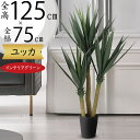 ドラセナ ユッカ フェイクグリーン おしゃれ 人気 インテリアグリーン リアル 観葉植物 人工観葉植物 樹木 造花 アートプランツ アートグリーン 室内 オブジ...