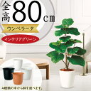 ウンベラータ フェイクグリーン おしゃれ 観葉植物 リアル 人気 アートプランツ おすすめ インテリアグリーン インテリア 造花 アートグリーン 緑 人工観葉植...