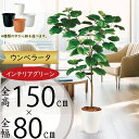ウンベラータ フェイクグリーン 大型 おしゃれ 観葉植物 リアル 人気 インテリアグリーン おすすめ 人工観葉植物 樹木 造花 アートグリーン インテリア 大き...