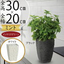 フェイクグリーン おしゃれ 人気 リアル おすすめ インテリアグリーン 人工観葉植物 造花 樹木 インテリア オブジェ アートグリーン 本物そっくり 緑 お洒落...