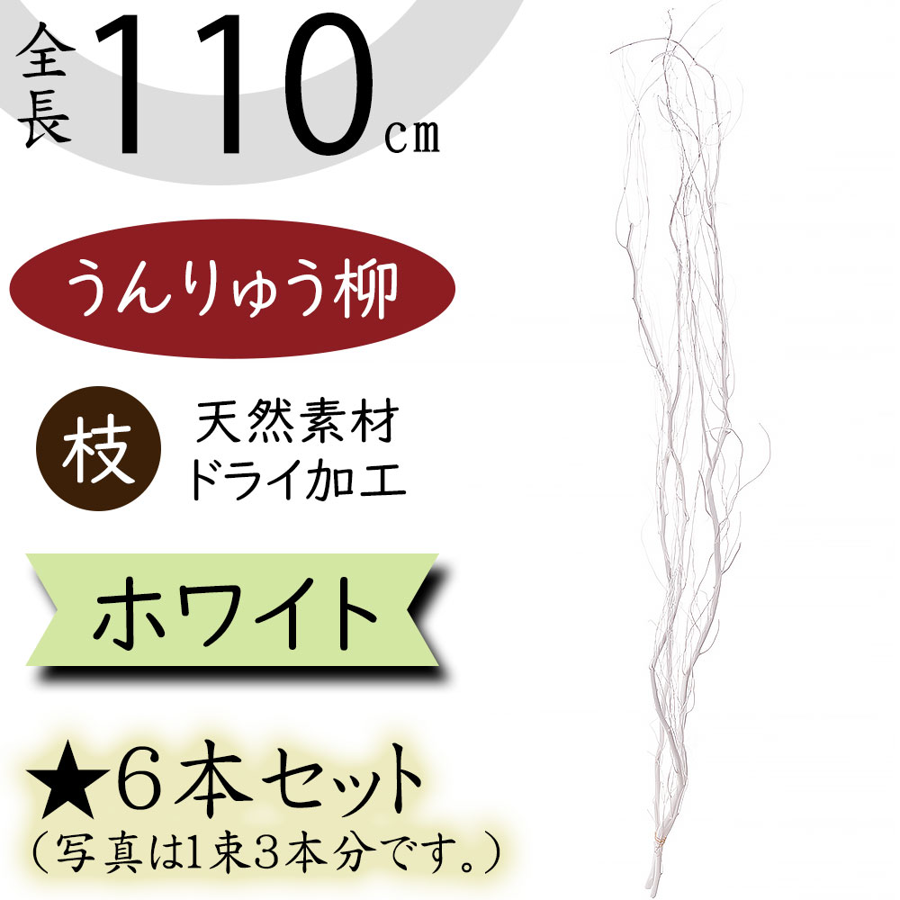 【ドライフラワー】うんりゅう柳 雲竜柳 おしゃれ 枝 ホワイト 白 全長110cm 6本セット 1束3本×2束 ウンリュウヤナギ 天然素材 自然素材 ドライ素材 枝物 枝もの ブランチ 人気 おすすめ インテリアグリーン 観葉植物 インテリア アレンジメント ディスプレイ 会場装花