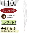 【ドライフラワー】うんりゅう柳 雲竜柳 おしゃれ 枝 ホワイト 白 全長110cm 6本セット 1束3本×2束 ウンリュウヤナギ 天然素材 自然素材 ドライ素材 枝物 枝もの ブランチ 人気 おすすめ インテリアグリーン 観葉植物 インテリア アレンジメント ディスプレイ 会場装花