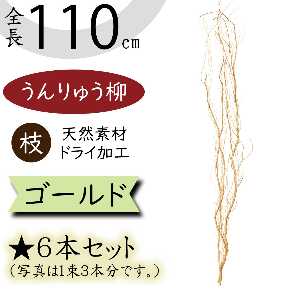 【ドライフラワー】うんりゅう柳 雲竜柳 おしゃれ 枝 ゴールド 金 全長110cm 6本セット 1束3本×2束 ウンリュウヤナギ 天然素材 自然素材 ドライ素材 枝物 枝もの ブランチ 人気 おすすめ インテリアグリーン 観葉植物 インテリア アレンジメント ディスプレイ 会場装花 1