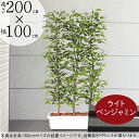 パーテーション パーティション 間仕切り 仕切り 大型 フェイクグリーン 観葉植物 おしゃれ リアル 人気 ベンジャミン おすすめ インテリアグリーン コンテナ...