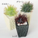 フェイクグリーン 多肉植物 アザミサボテン おしゃれ 人気 リアル インテリアグリーン 観葉植物 人工観葉植物 造花 アートグリーン 人工樹木 鉢物 お洒落 イ...