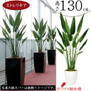 ストレリチア ストレチア フェイクグリーン おしゃれ 人気 おすすめ リアル インテリアグリーン 人工観葉植物 造花 人工樹木 観葉植物 アートグリーン インテ...