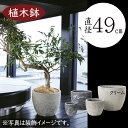 植木鉢 大型 おしゃれ 人気 プランター おすすめ 園芸鉢 観葉鉢 陶器鉢 観葉植物 園芸用品 ポット ガーデニング 鉢植え 寄せ植え お庭 テラス バルコニー ファサード 屋上 灰 グレー クリーム 鉢カバー インテリア お洒落 釉薬陶器 大きい 大きめ 16号 アビス ソニア ミドル