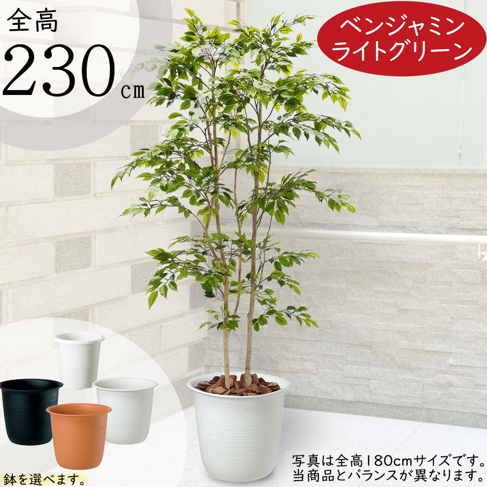 光触媒 観葉植物 造花 モンステラ アートフラワー 送料無料 ミニ 空気清浄機 インテリア ギフト プレゼント 贈り物 お誕生日 記念日 開店祝い