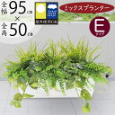 【フェイクグリーン】【屋外対応】観葉植物 おしゃれ インテリアグリーン 大型 人気 おすすめ グリーン ミックスプランター E 全高50cm×全幅95cm 人工観葉植物 造花 アートグリーン インテリア オブジェ 屋外用 アレンジ お庭 テラス ファサード バルコニー ベランダ 屋上