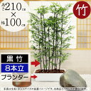 【フェイクグリーン】おしゃれ 観葉植物 大型 黒竹 インテリアグリーン 全高210cm×幅100cm 特大 リアル 人気 おすすめ パーテーション パーティション グリーンのカーテン 間仕切り 目隠し プランター コンテナ 幅広 横長 ワイド 長角 国産自然竹 人工観葉植物 人工樹木