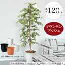 フェイクグリーン おしゃれ 人気 リアル インテリアグリーン 観葉植物 人工観葉植物 樹木 造花 インテリア オブジェ アートグリーン ディスプレイ ギフト 新...