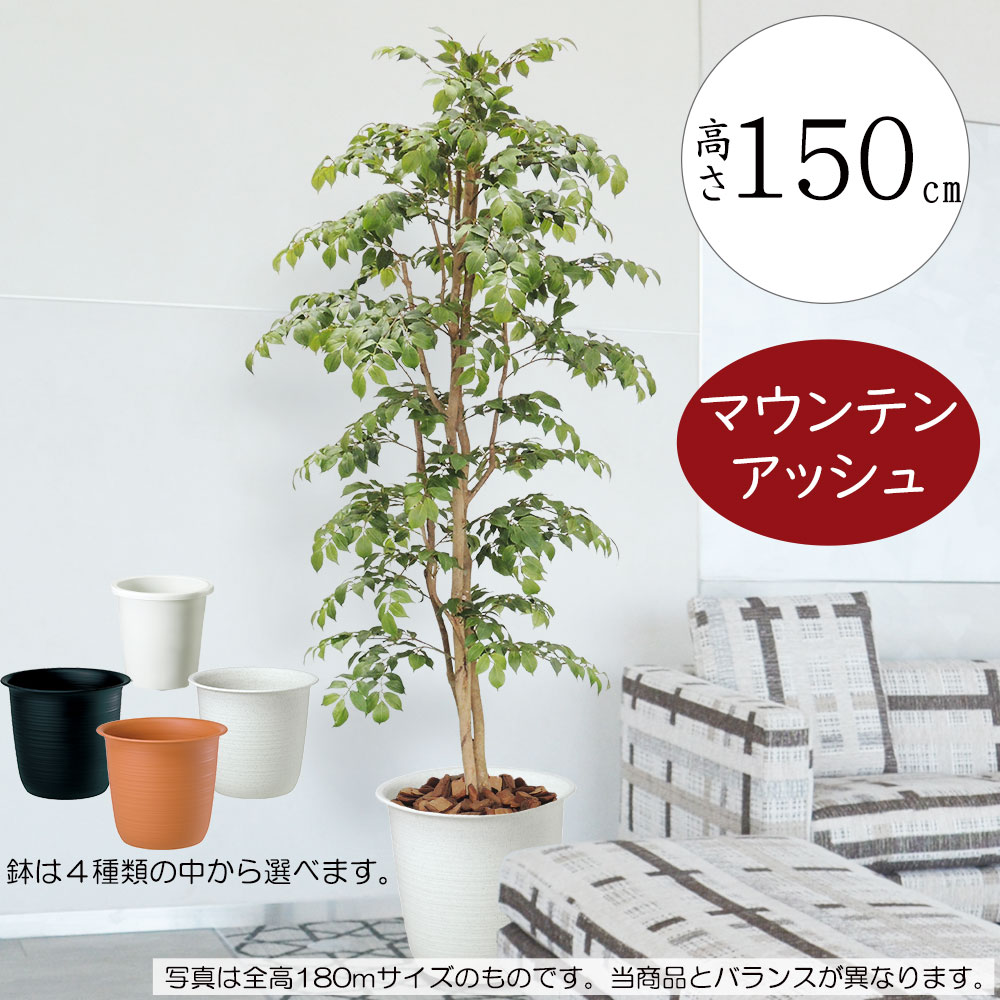 観葉植物 おしゃれ インテリアグリーン 全高1.5m マウンテンアッシュ アートグリーン インテリア 人工観葉植物 人工樹木 造花 オブジェ ディスプレイ 空間演出