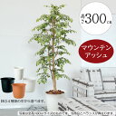フェイクグリーン 大型 おしゃれ 人気 リアル インテリアグリーン 観葉植物 人工観葉植物 人工樹木 造花 インテリア オブジェ アートグリーン ディスプレイ ...