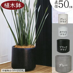 【植木鉢】おしゃれ 大型 プランター コーテス シリンド 16号 直径50cm×全高47.5cm 特大 ファイバーセメント 底穴あり 鉢カバー ガーデニング 園芸 鉢植え インテリアグリーン 観葉植物 花 緑 屋外向け テラス お庭 バルコニー ベランダ 広場 ファサード 多目的スペース