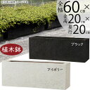 植木鉢 大型 おしゃれ 人気 プランター 観葉植物 園芸用品 観葉鉢 器 コンテナ 幅広 横長 ワイド 長角 ボックス ガーデニング用品 ポット 寄せ植え 花壇 鉢カバー インテリア 高級 重厚 モダン 大鉢 大きい 大きめ お庭 テラス お洒落 アイボリー ブラック 黒 リガンデ 幅60