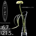 ポリカーボネート 花瓶 おしゃれ 人気 フラワーベース インテリア 花器 おすすめ 軽量 透明 クリア 丈夫 ギフト プレゼント 贈り物 オブジェ お洒落 フラ...