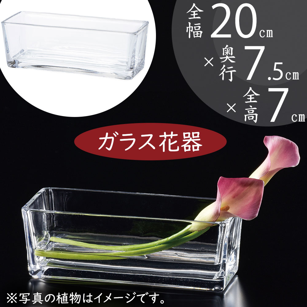 ガラス花瓶 おしゃれ 人気 フラワーベース 花器 花瓶 ガラス花器 ガラス 幅広 ワイド 横長 箱型 浅鉢 浅型 浅い 角型 インテリア 透明 クリア 硝子 花入れ フラワーアレンジメント 緑 花束 ディスプレイ ギフト プレゼント 会場装花 小物入れ 容器 幅20cm×全高7cm 2個セット