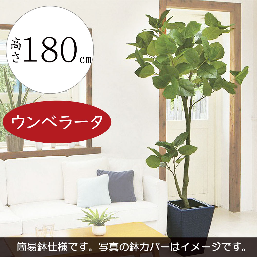 楽天グリーンランド【フェイクグリーン】おしゃれ 大型 観葉植物 ウンベラータ リアル 人気 おすすめ 全高180cm インテリアグリーン インテリア 造花 アートグリーン 人工観葉植物 樹木 緑 本物そっくり 高品質 特大 大きい 大きめ オブジェ 鉢付き リビング 新築祝い 引越し祝い ギフト お洒落