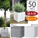 植木鉢 大型 おしゃれ 人気 プランター おすすめ ポット 器 園芸 観葉鉢 観葉植物 インドアグリーン キューブ 四角 ボックス ガーデニング インテリアグリーン モダン お庭 テラス バルコニー お洒落 マット グレー ホワイト 灰 白 大鉢 大きい 大きめ 鉢カバー バスク 16号
