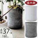 植木鉢 大型 おしゃれ 人気 プランター おすすめ ポット 器 園芸用品 観葉鉢 観葉植物 インドアグリーン ガーデニング インテリアグリーン モダン お庭 テラス バルコニー お洒落 マット 大鉢 大きい 大きめ 鉢カバー インテリア バスク ミドル 12号