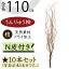 【ドライフラワー】うんりゅう柳 雲竜柳 おしゃれ 枝 N皮付き 全長110cm 10本セット 1束5本×2束 ウンリュウヤナギ 天然素材 自然素材 ドライ素材 枝物 枝もの ブランチ 人気 インテリアグリーン 観葉植物 インテリア フラワーアレンジメント ディスプレイ 会場装花 お洒落 3,960円