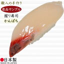 【食品サンプル】国産品 フェイクフード お寿司 かんぱち すし スシ リアル おすすめ ディスプレイ オブジェ 高品質 上質 人気 雑貨 日本製 made in japan sushi 飲食店 回転ずし お寿司屋さん 和食 日本食 業務用 サンプルメニュー 食品模型 陳列用 店頭 本物そっくり