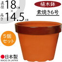 おしゃれ プランター 国産品 日本製 素焼き 陶器製 5個セット 6号 直径18cm×全高14.5cm 人気 底穴あり ポット 器 鉢 園芸 ガーデニング 観葉鉢 観葉植物 花 緑 草 樹木 植栽 グリーン 寄せ植え 菜園 インテリアグリーン お庭 バルコニー ベランダ シンプル 小型