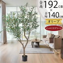 オリーブの木 大型 フェイクグリーン おしゃれ 人気 観葉植物 インテリアグリーン リアル 人工観葉植物 樹木 造花 アートグリーン アートプランツ インテリア...