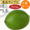 食品サンプル ライム リアル 人気 柑橘 フェイクフード 野菜 果物 果実 ベジタブル 造花 おすすめ アレンジ ディスプレイ テーブルコーディネート 装飾 食...