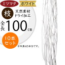 ミツマタ 三又 ドライフラワー ホワイト 白 おしゃれ 枝物 人気 三椏 天然素材 自然素材 ドライ素材 枝 枝もの ブランチ おすすめ インテリアグリーン 観...