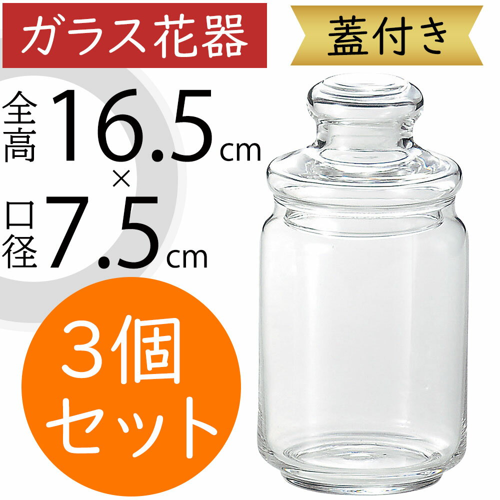 ガラス花瓶 おしゃれ 人気 フラワーベース 蓋付き 花器 花瓶 ガラス花器 ガラス インテリア 透明 硝子 ..
