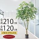 パキラ フェイクグリーン 大型 観葉植物 人気 おしゃれ インテリアグリーン リアル おすすめ インテリア 造花 人工観葉植物 人工樹木 アートグリーン アートプランツ オブジェ 家具 ギフト 新築祝い 引っ越し祝い 開店祝い 室内 店舗 オフィス シンボルツリー 特大 全高210cm(4)