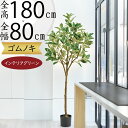 ゴムの木 フェイクグリーン 大型 おしゃれ 人気 リアル インテリアグリーン インテリア 家具 人工観葉植物 人工樹木 観葉植物 室内 リビング ダイニング 寝...
