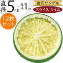 食品サンプル ライム リアル 人気 スライス 輪切り カット 柑橘 フェイクフード 野菜 果物 果実 造花 おすすめ アレンジ ディスプレイ テーブルコーディネ...
