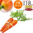 食品サンプル にんじん リアル 人気 ニンジン 人参 キャロット フェイクフード 野菜 ベジタブル サラダ 果物 造花 おすすめ アレンジメント ディスプレイ ...