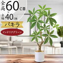パキラ フェイクグリーン 観葉植物 人気 おしゃれ インテリアグリーン リアル おすすめ インテリア 造花 人工観葉植物 人工樹木 アートグリーン アートプラン...