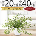 フェイクグリーン 小型 おしゃれ 人気 おすすめ リアル インテリアグリーン 観葉植物 人工観葉植物 人工樹木 造花 オブジェ インテリア テーブルサイズ 卓上...